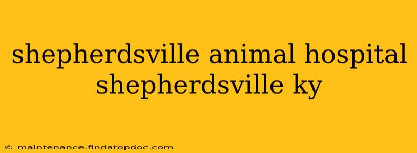 shepherdsville animal hospital shepherdsville ky