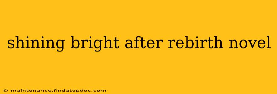 shining bright after rebirth novel