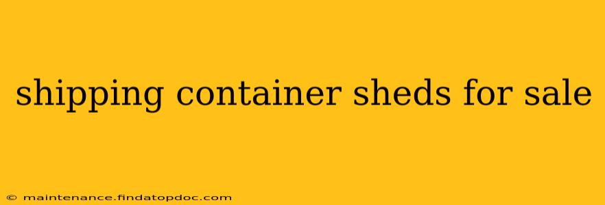 shipping container sheds for sale