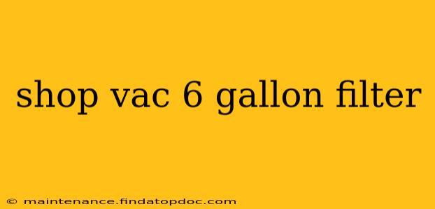 shop vac 6 gallon filter