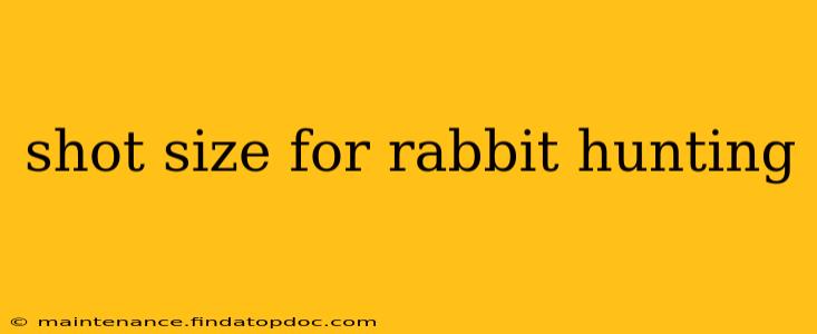 shot size for rabbit hunting