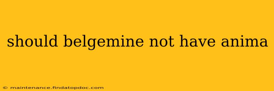should belgemine not have anima