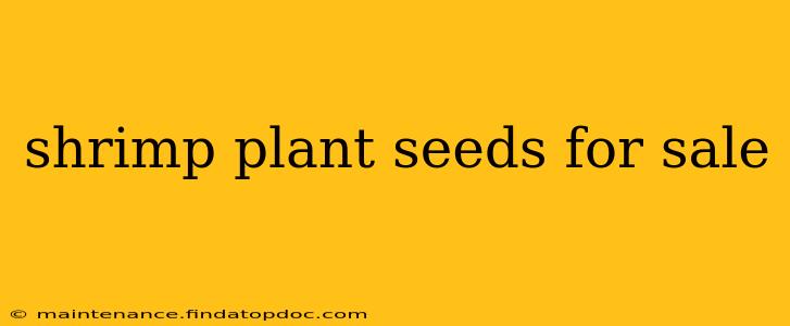 shrimp plant seeds for sale