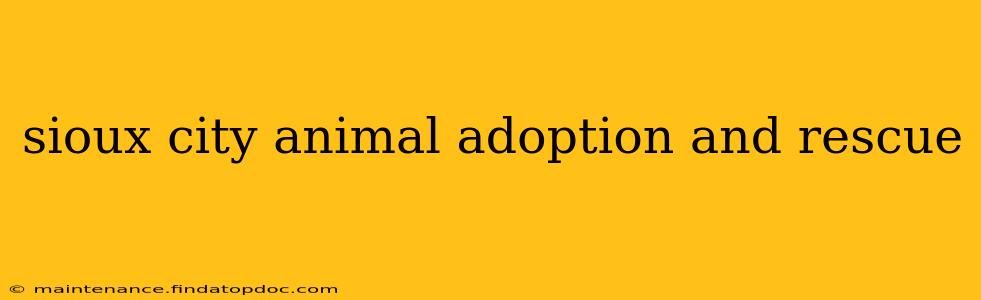 sioux city animal adoption and rescue
