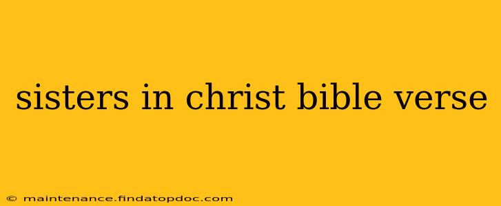 sisters in christ bible verse