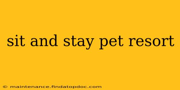 sit and stay pet resort