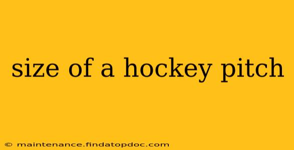 size of a hockey pitch