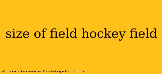 size of field hockey field