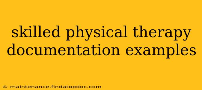 skilled physical therapy documentation examples