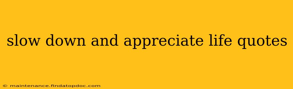 slow down and appreciate life quotes