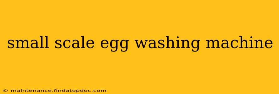small scale egg washing machine