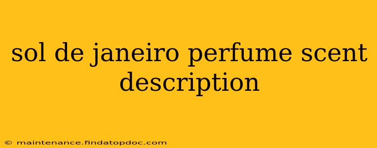 sol de janeiro perfume scent description