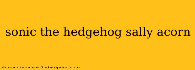 sonic the hedgehog sally acorn