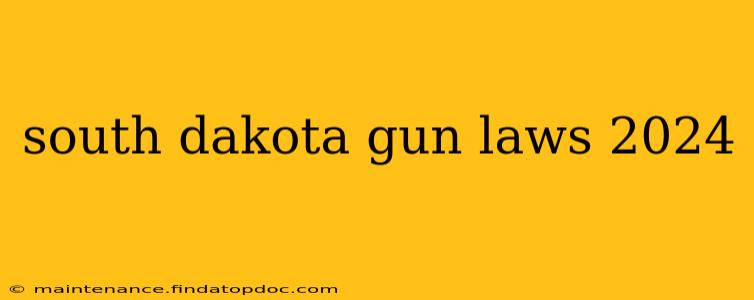 south dakota gun laws 2024