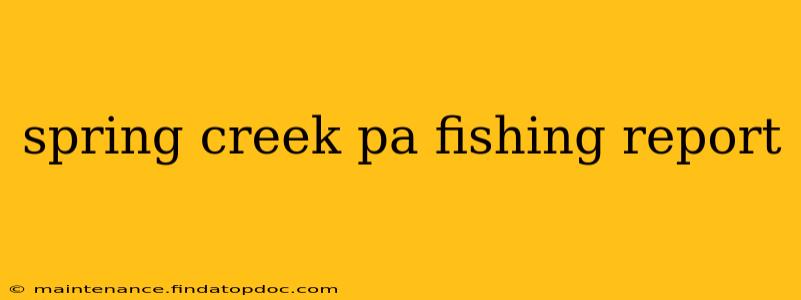 spring creek pa fishing report