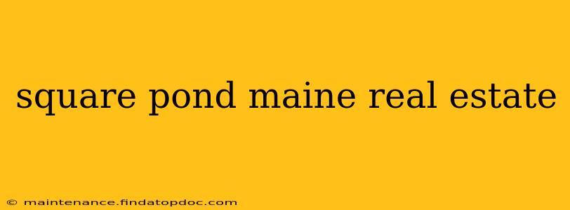 square pond maine real estate