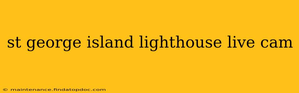 st george island lighthouse live cam