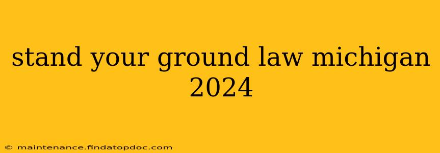 stand your ground law michigan 2024