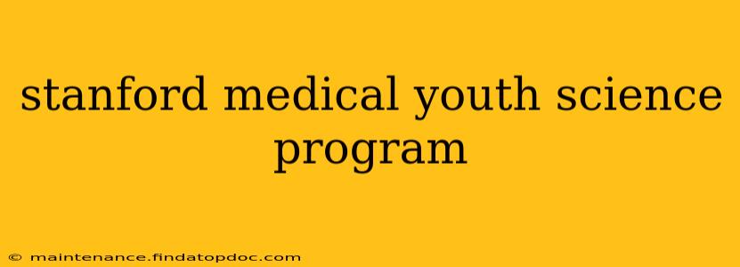 stanford medical youth science program