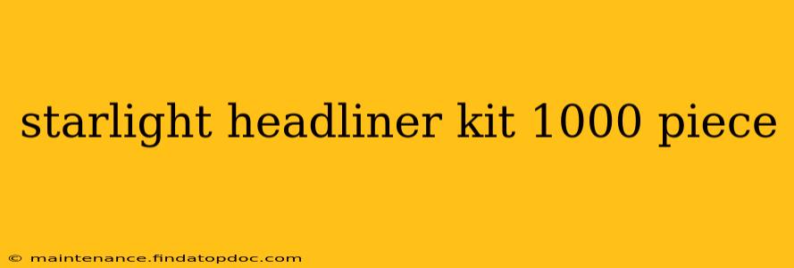 starlight headliner kit 1000 piece