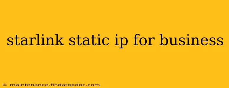 starlink static ip for business