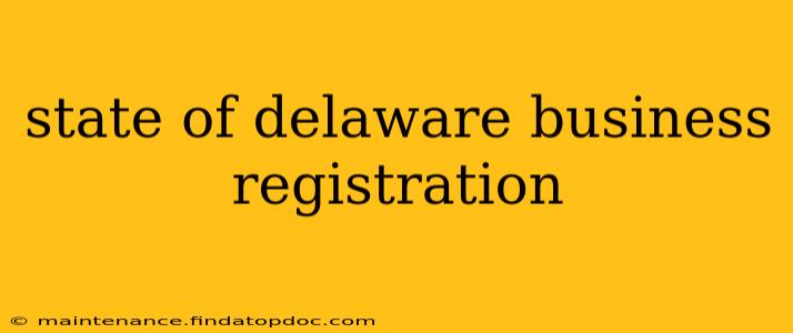 state of delaware business registration