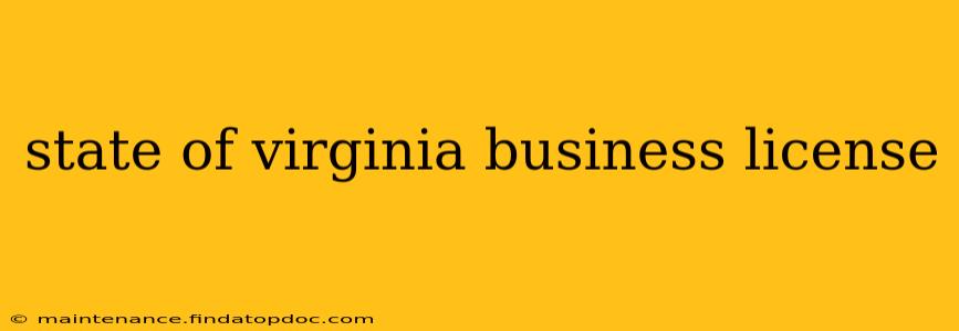 state of virginia business license