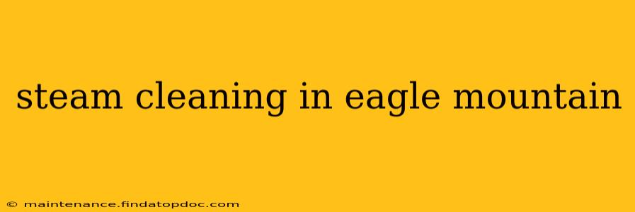 steam cleaning in eagle mountain