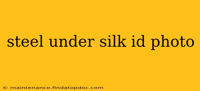 steel under silk id photo