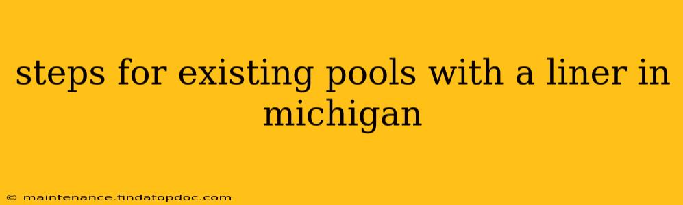 steps for existing pools with a liner in michigan
