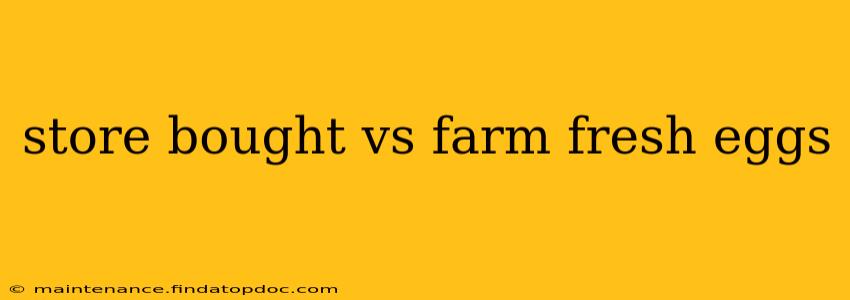 store bought vs farm fresh eggs