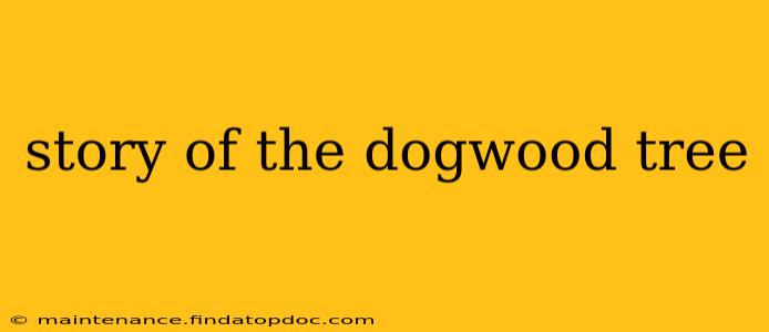 story of the dogwood tree