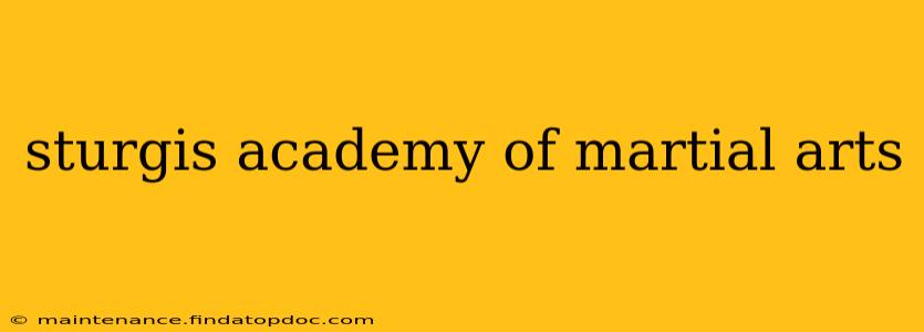 sturgis academy of martial arts