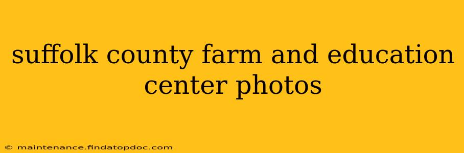 suffolk county farm and education center photos