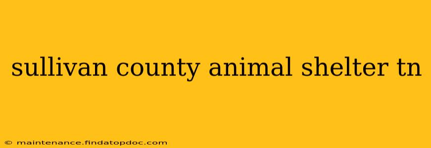 sullivan county animal shelter tn