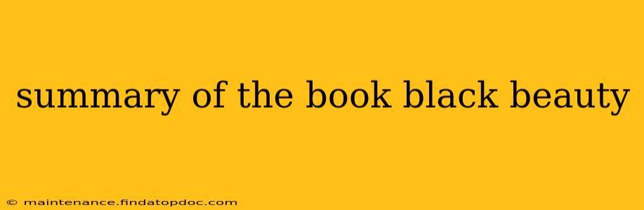 summary of the book black beauty