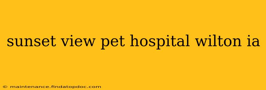 sunset view pet hospital wilton ia