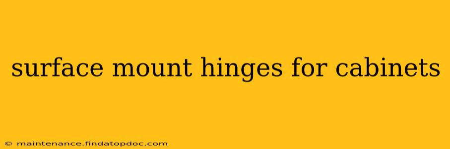 surface mount hinges for cabinets