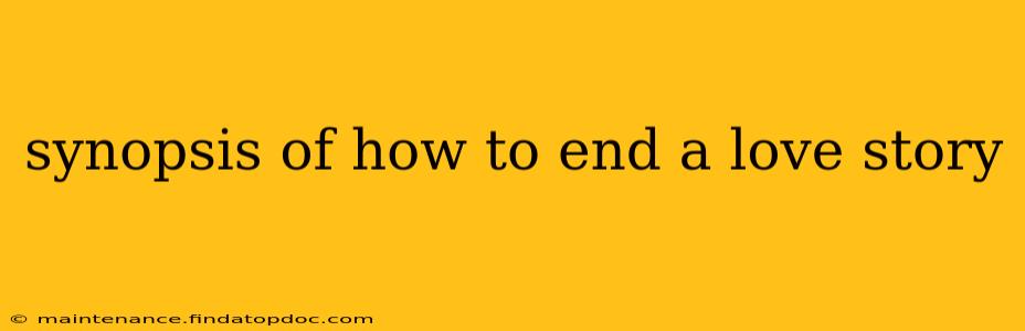 synopsis of how to end a love story