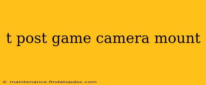 t post game camera mount