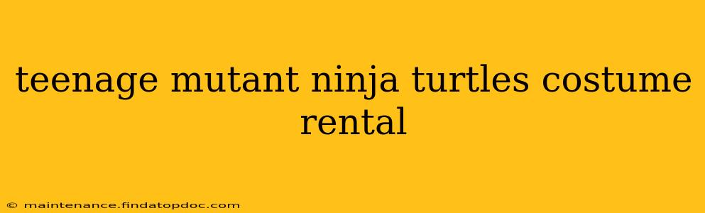 teenage mutant ninja turtles costume rental