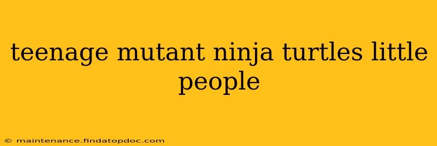 teenage mutant ninja turtles little people