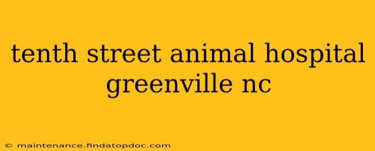 tenth street animal hospital greenville nc