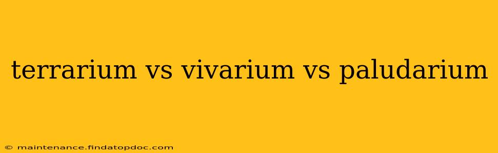 terrarium vs vivarium vs paludarium