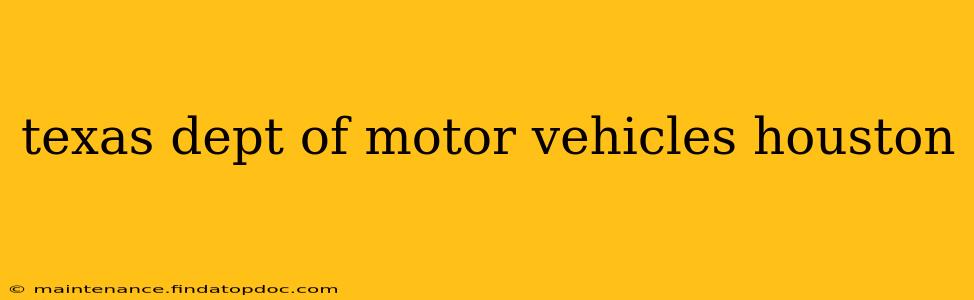 texas dept of motor vehicles houston