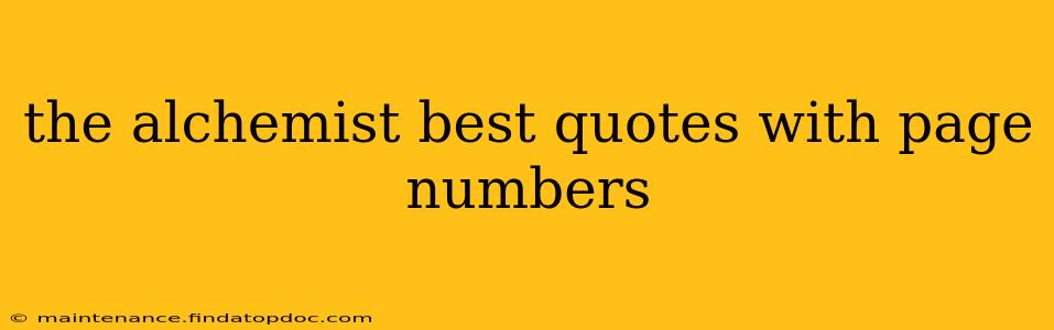 the alchemist best quotes with page numbers