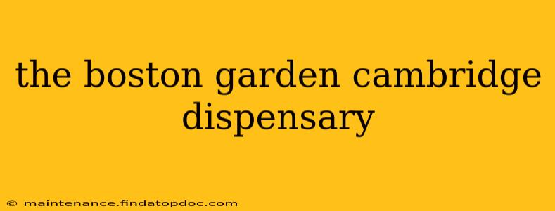 the boston garden cambridge dispensary