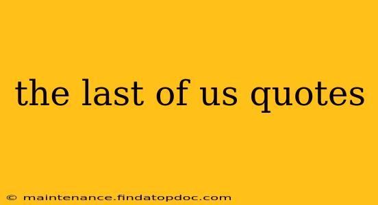 the last of us quotes