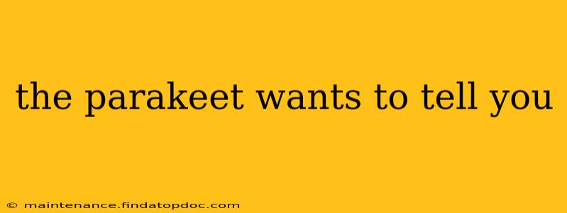 the parakeet wants to tell you