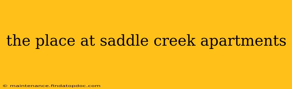 the place at saddle creek apartments